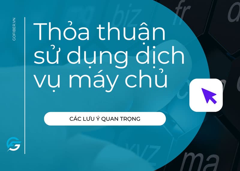 Thỏa thuận sử dụng dịch vụ máy chủ